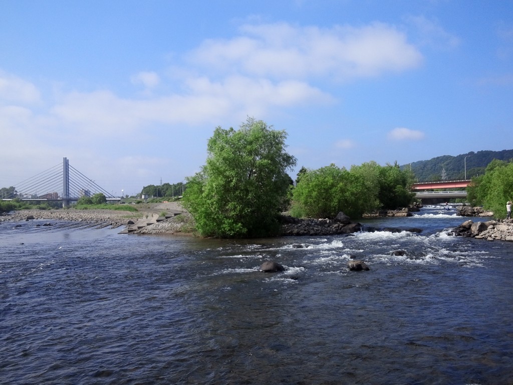豊平川と山鼻川の合流点