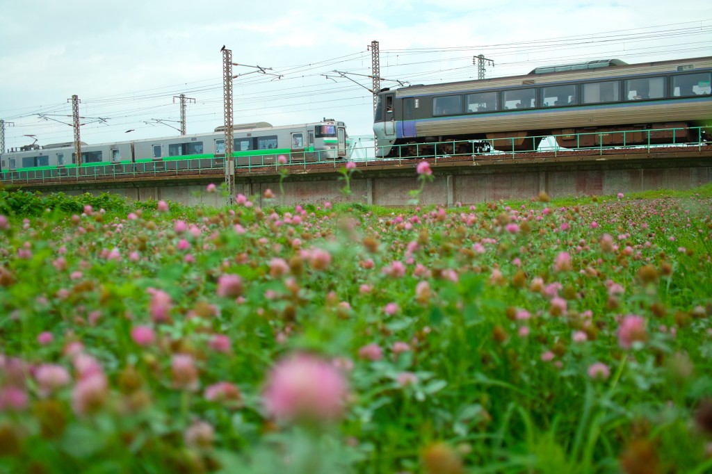 札幌行きＬ特急スーパーカムイ７８５系電車と苫小牧行き７３３系普通電車のすれ違い。