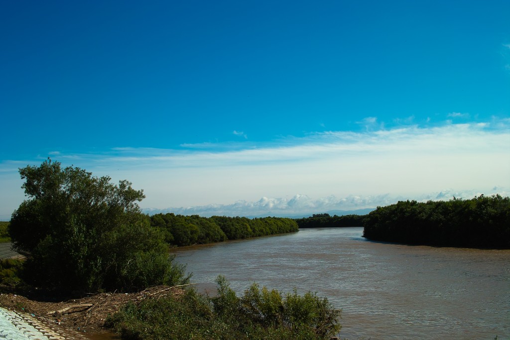 千歳川とトマンベツア川の合流点