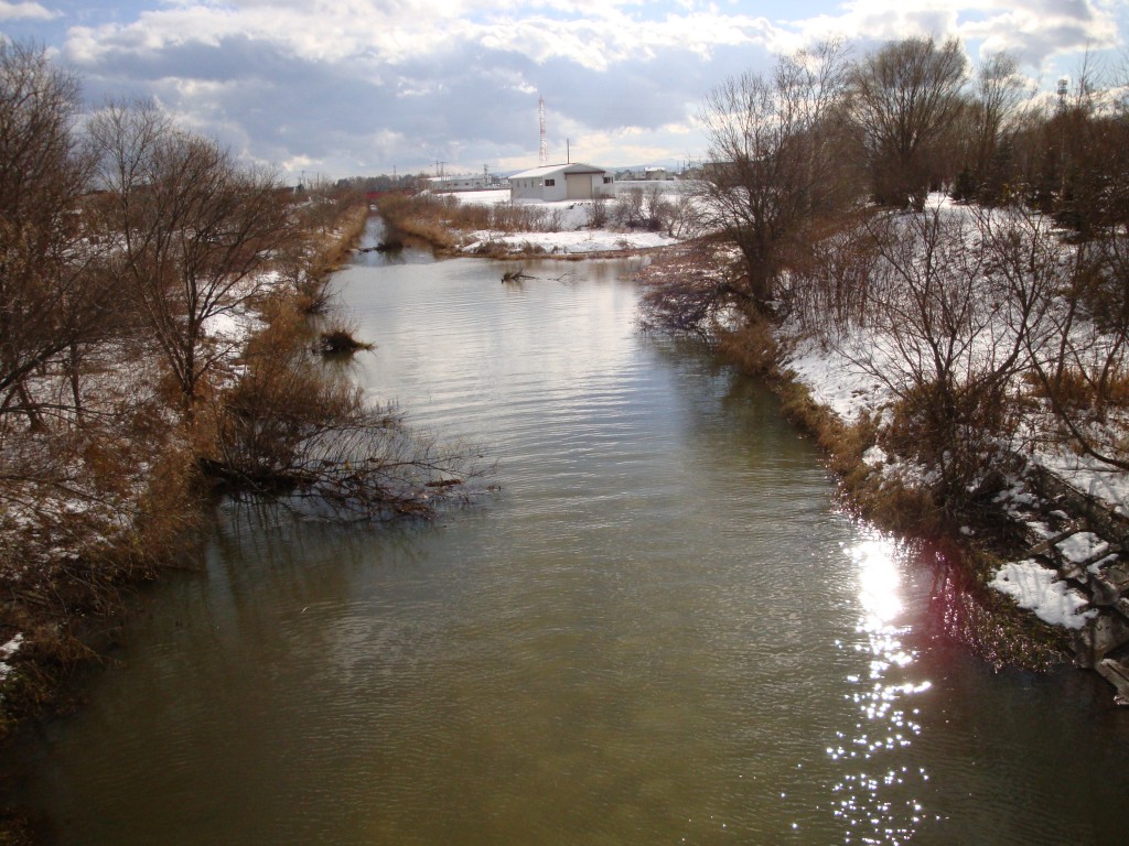 伏籠川と旧琴似川放水路の合流点