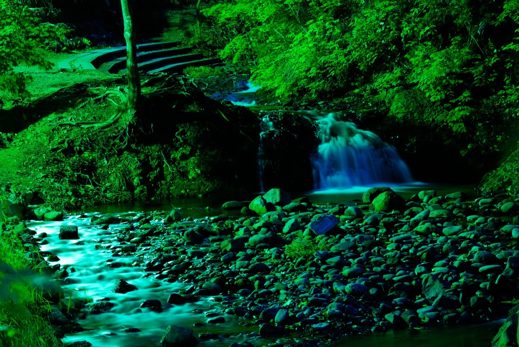 精進川の滝