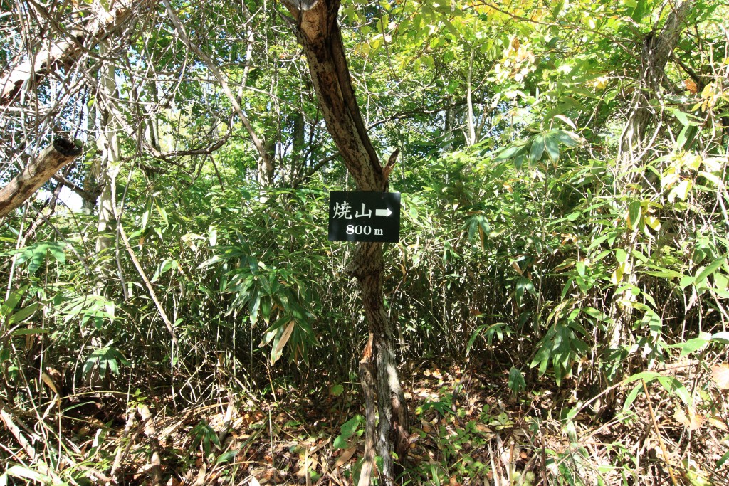 焼山への標識
